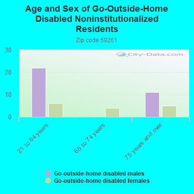 Age and Sex of Go-Outside-Home Disabled Noninstitutionalized Residents