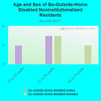 Age and Sex of Go-Outside-Home Disabled Noninstitutionalized Residents