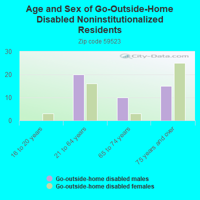 Age and Sex of Go-Outside-Home Disabled Noninstitutionalized Residents