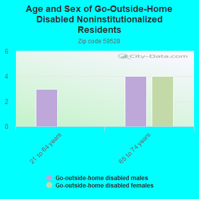 Age and Sex of Go-Outside-Home Disabled Noninstitutionalized Residents