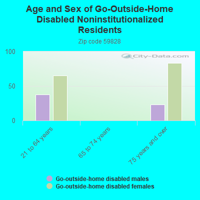 Age and Sex of Go-Outside-Home Disabled Noninstitutionalized Residents