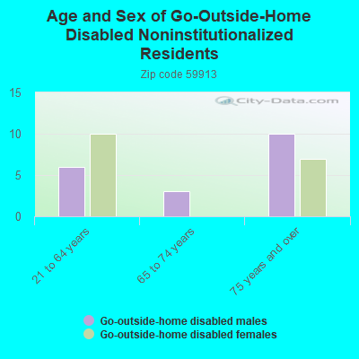 Age and Sex of Go-Outside-Home Disabled Noninstitutionalized Residents