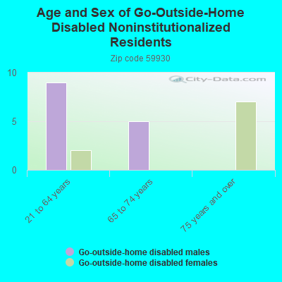 Age and Sex of Go-Outside-Home Disabled Noninstitutionalized Residents