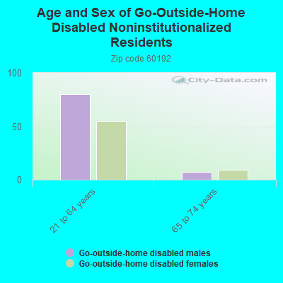 Age and Sex of Go-Outside-Home Disabled Noninstitutionalized Residents