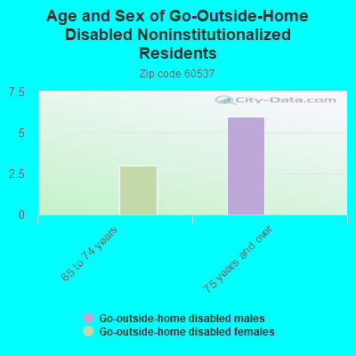 Age and Sex of Go-Outside-Home Disabled Noninstitutionalized Residents