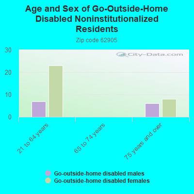 Age and Sex of Go-Outside-Home Disabled Noninstitutionalized Residents