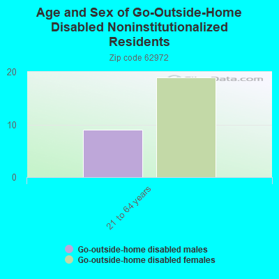 Age and Sex of Go-Outside-Home Disabled Noninstitutionalized Residents