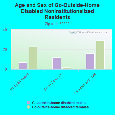 Age and Sex of Go-Outside-Home Disabled Noninstitutionalized Residents