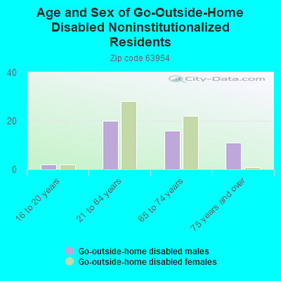 Age and Sex of Go-Outside-Home Disabled Noninstitutionalized Residents