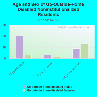 Age and Sex of Go-Outside-Home Disabled Noninstitutionalized Residents