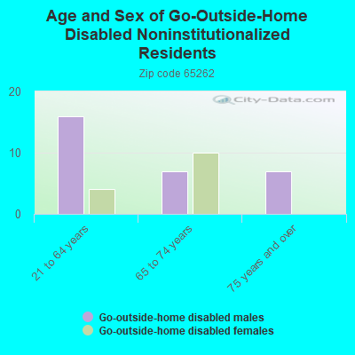 Age and Sex of Go-Outside-Home Disabled Noninstitutionalized Residents