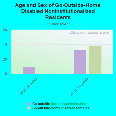 Age and Sex of Go-Outside-Home Disabled Noninstitutionalized Residents