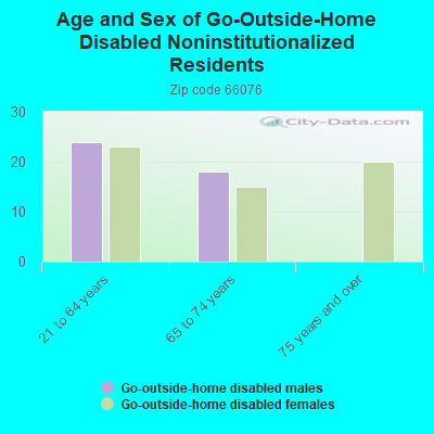 Age and Sex of Go-Outside-Home Disabled Noninstitutionalized Residents