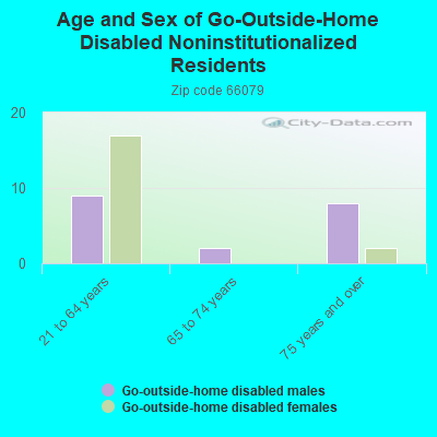 Age and Sex of Go-Outside-Home Disabled Noninstitutionalized Residents