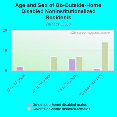 Age and Sex of Go-Outside-Home Disabled Noninstitutionalized Residents