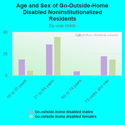 Age and Sex of Go-Outside-Home Disabled Noninstitutionalized Residents