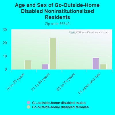 Age and Sex of Go-Outside-Home Disabled Noninstitutionalized Residents