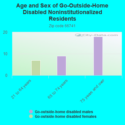 Age and Sex of Go-Outside-Home Disabled Noninstitutionalized Residents