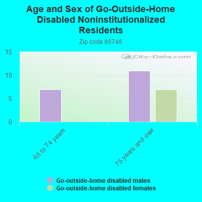 Age and Sex of Go-Outside-Home Disabled Noninstitutionalized Residents