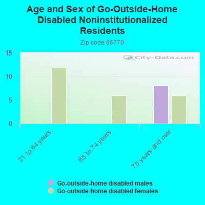 Age and Sex of Go-Outside-Home Disabled Noninstitutionalized Residents