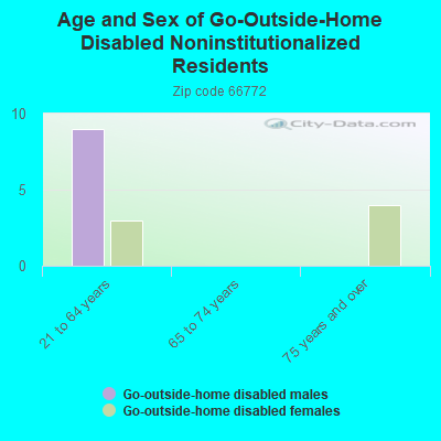 Age and Sex of Go-Outside-Home Disabled Noninstitutionalized Residents