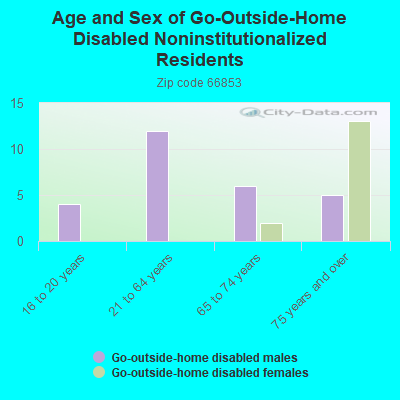 Age and Sex of Go-Outside-Home Disabled Noninstitutionalized Residents