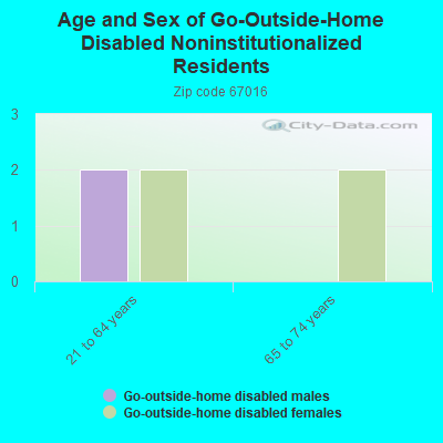 Age and Sex of Go-Outside-Home Disabled Noninstitutionalized Residents