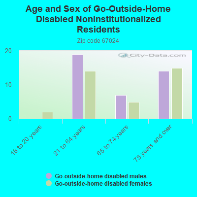 Age and Sex of Go-Outside-Home Disabled Noninstitutionalized Residents