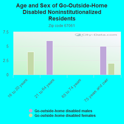 Age and Sex of Go-Outside-Home Disabled Noninstitutionalized Residents