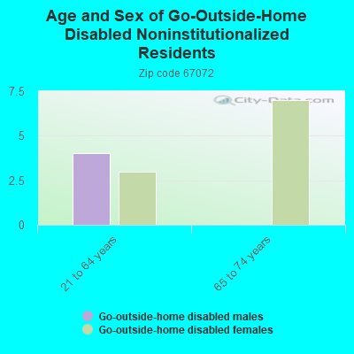 Age and Sex of Go-Outside-Home Disabled Noninstitutionalized Residents