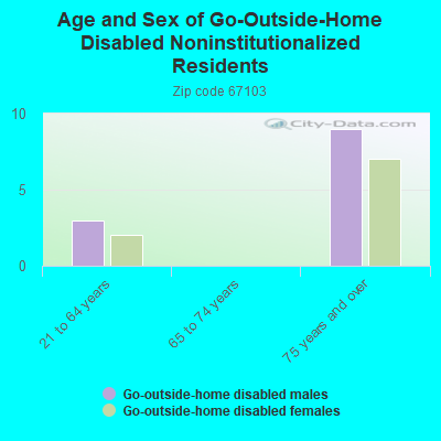 Age and Sex of Go-Outside-Home Disabled Noninstitutionalized Residents