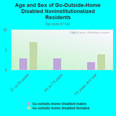 Age and Sex of Go-Outside-Home Disabled Noninstitutionalized Residents