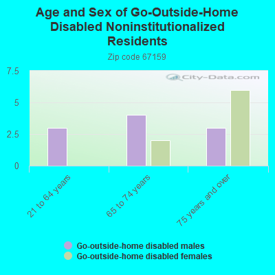 Age and Sex of Go-Outside-Home Disabled Noninstitutionalized Residents