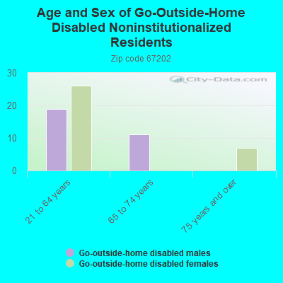 Age and Sex of Go-Outside-Home Disabled Noninstitutionalized Residents