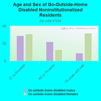 Age and Sex of Go-Outside-Home Disabled Noninstitutionalized Residents