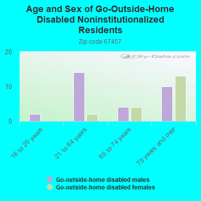 Age and Sex of Go-Outside-Home Disabled Noninstitutionalized Residents