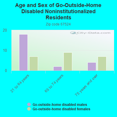 Age and Sex of Go-Outside-Home Disabled Noninstitutionalized Residents