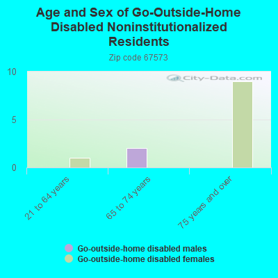 Age and Sex of Go-Outside-Home Disabled Noninstitutionalized Residents