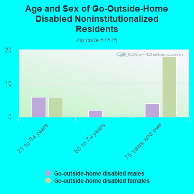 Age and Sex of Go-Outside-Home Disabled Noninstitutionalized Residents