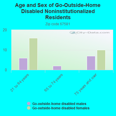 Age and Sex of Go-Outside-Home Disabled Noninstitutionalized Residents