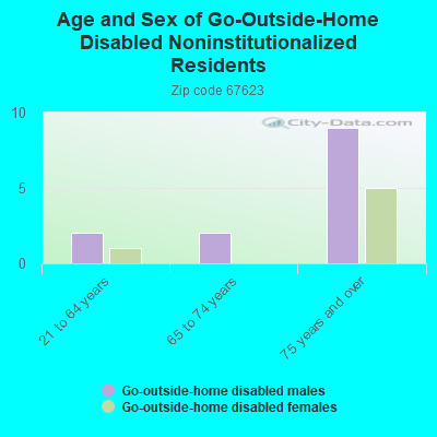 Age and Sex of Go-Outside-Home Disabled Noninstitutionalized Residents