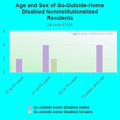 Age and Sex of Go-Outside-Home Disabled Noninstitutionalized Residents