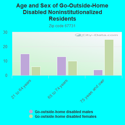 Age and Sex of Go-Outside-Home Disabled Noninstitutionalized Residents