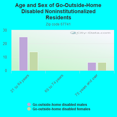 Age and Sex of Go-Outside-Home Disabled Noninstitutionalized Residents