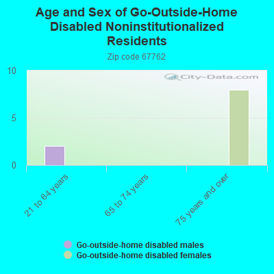 Age and Sex of Go-Outside-Home Disabled Noninstitutionalized Residents