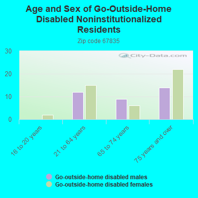 Age and Sex of Go-Outside-Home Disabled Noninstitutionalized Residents