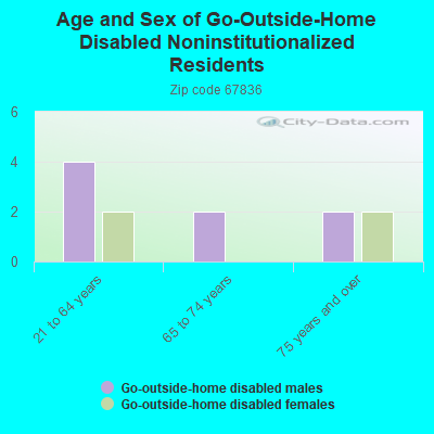 Age and Sex of Go-Outside-Home Disabled Noninstitutionalized Residents