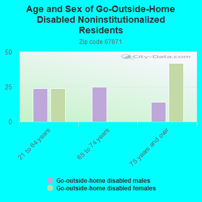 Age and Sex of Go-Outside-Home Disabled Noninstitutionalized Residents