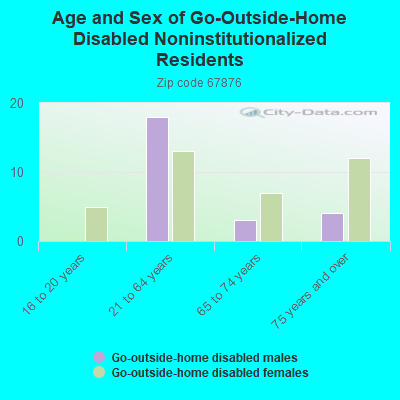 Age and Sex of Go-Outside-Home Disabled Noninstitutionalized Residents