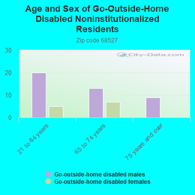 Age and Sex of Go-Outside-Home Disabled Noninstitutionalized Residents